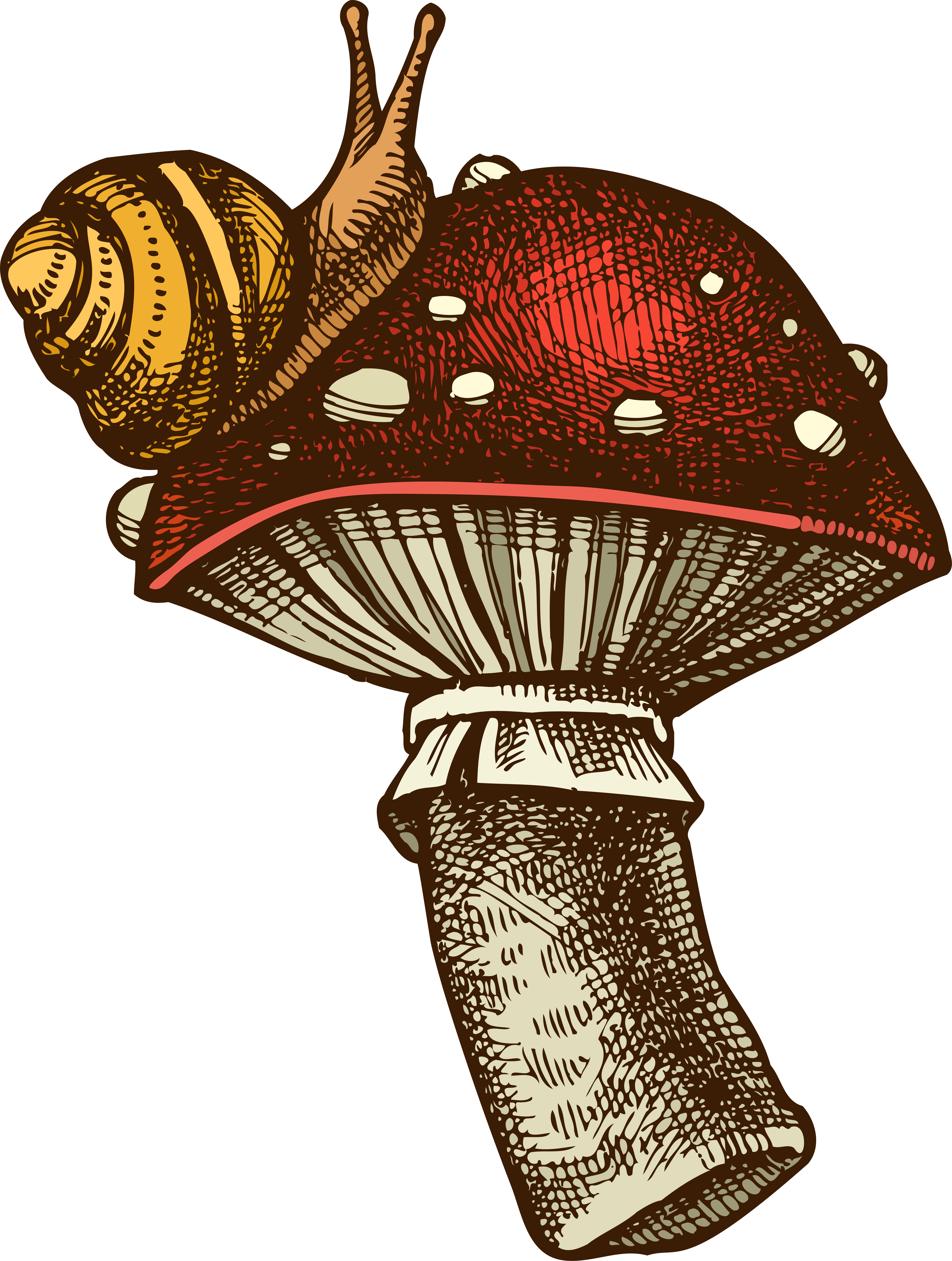 Kirsten Schuhmacher's Portfolio